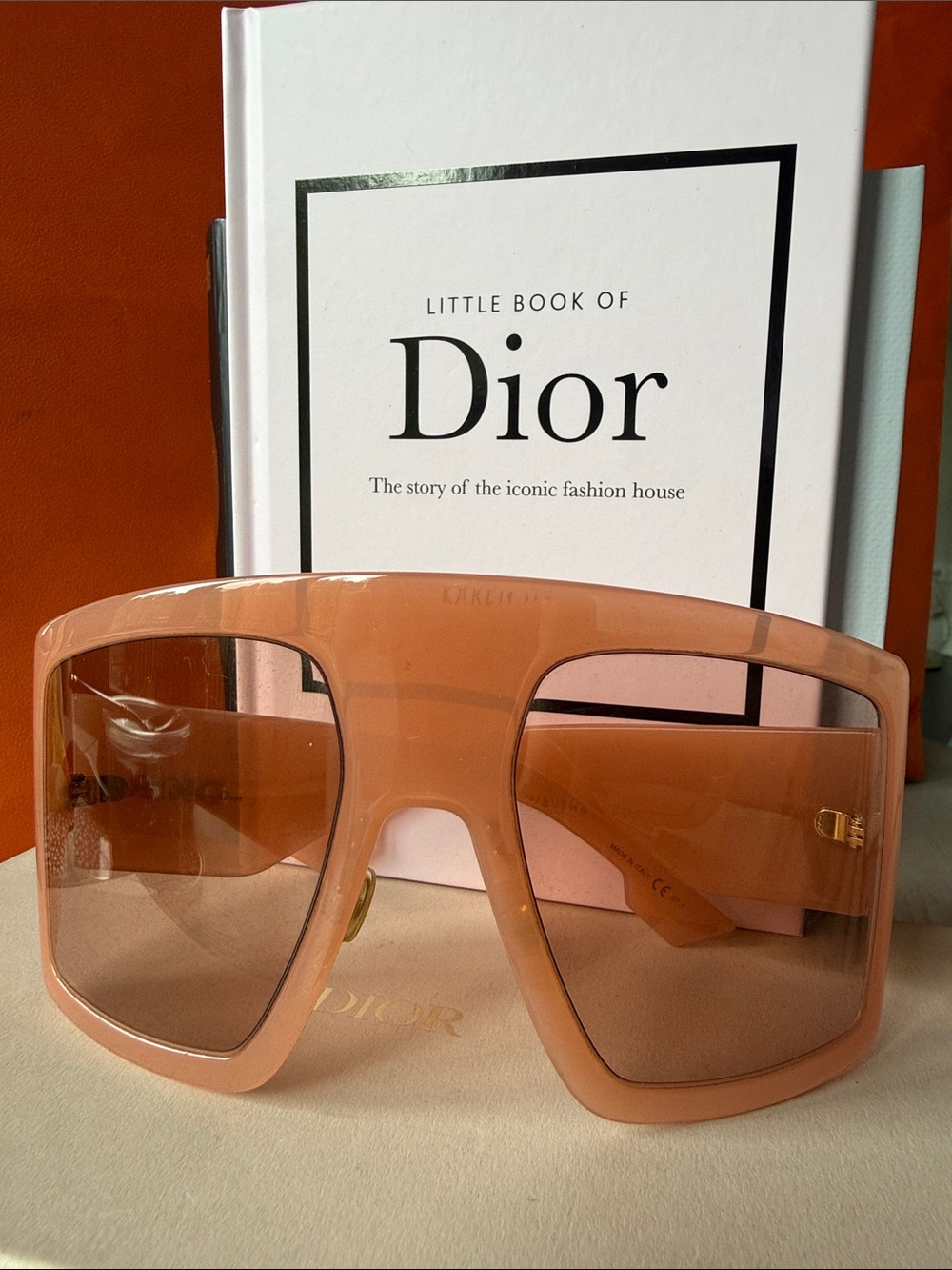 Christian Dior Oversized Shield Sunglasses Nude Blush Runway Frame Rare Color